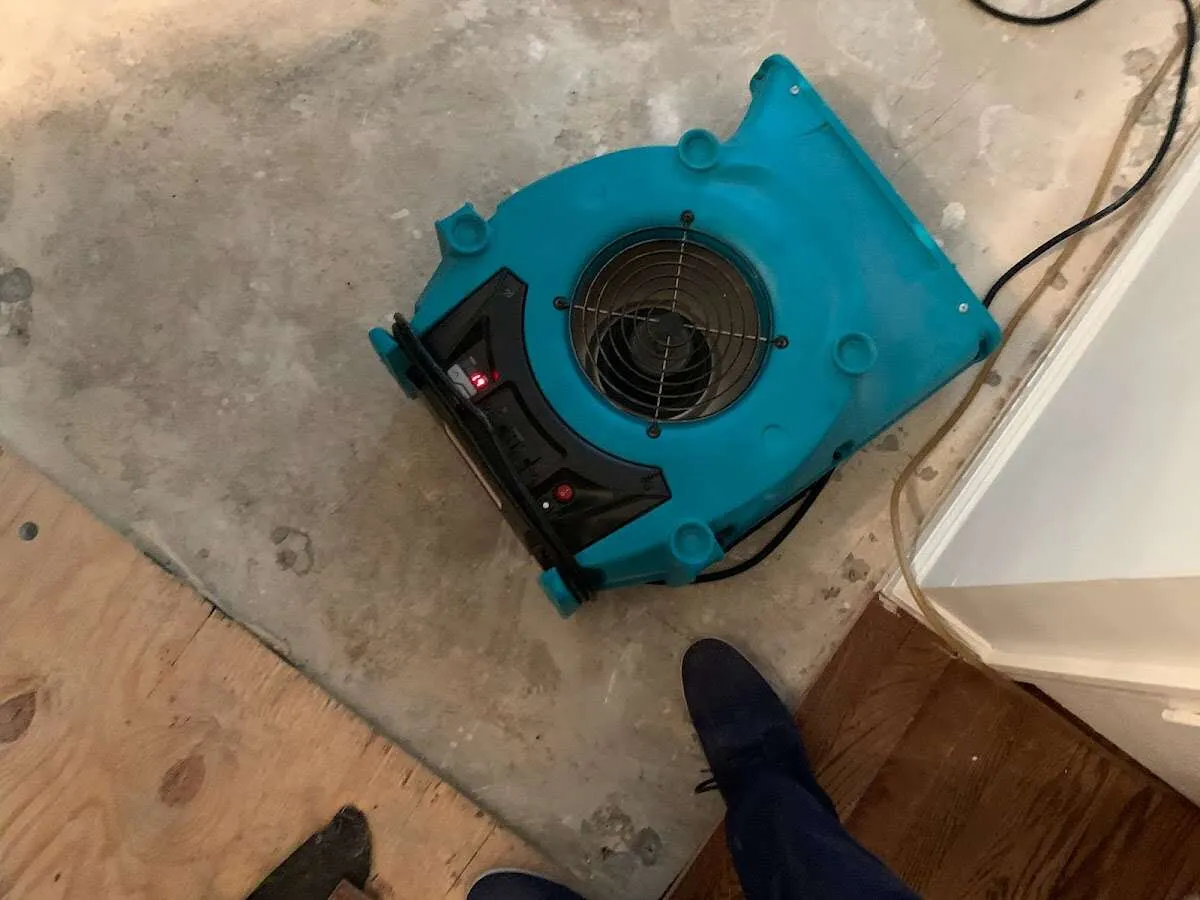 Air mover drying subfloor during Leak Detection & Repair in Crestline